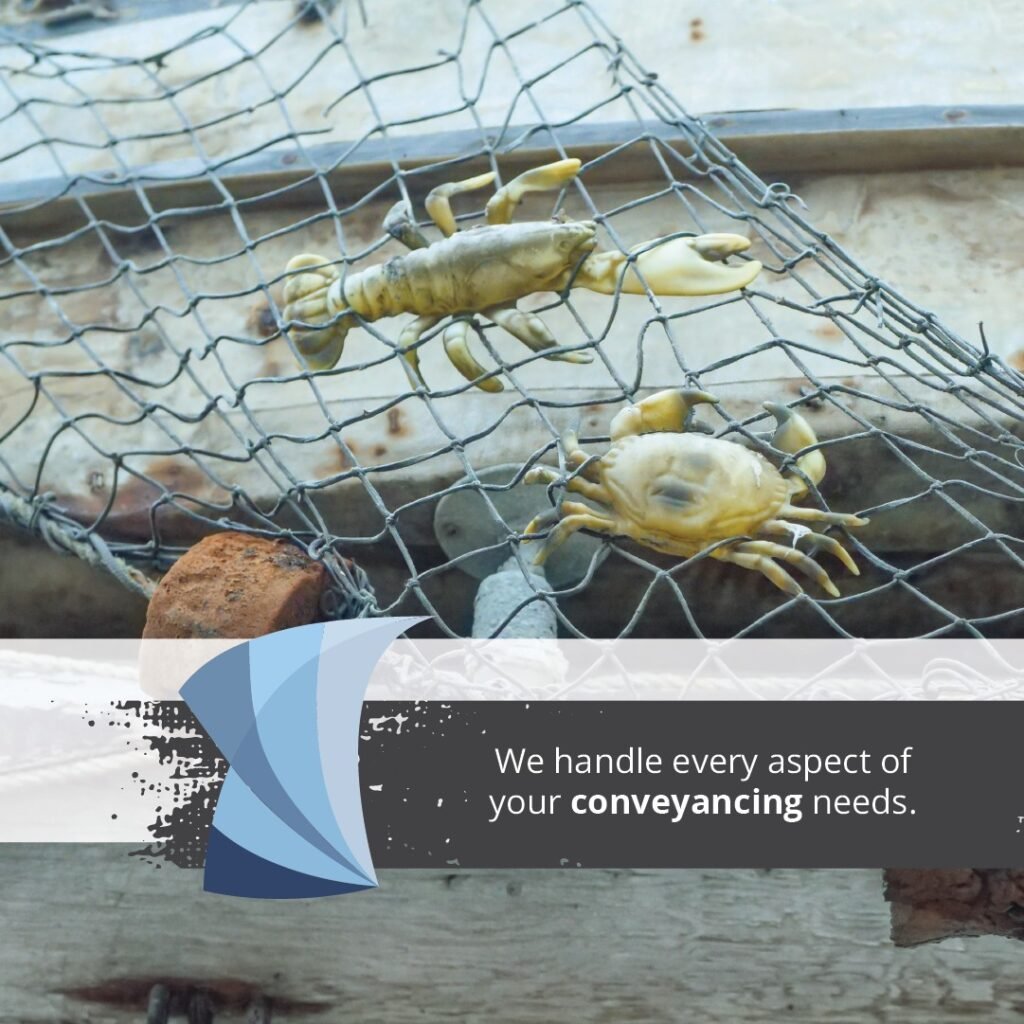 A fishing net with crab and crayfish in it as a promotional photo for P.P. Smit Attorneys in Langebaan