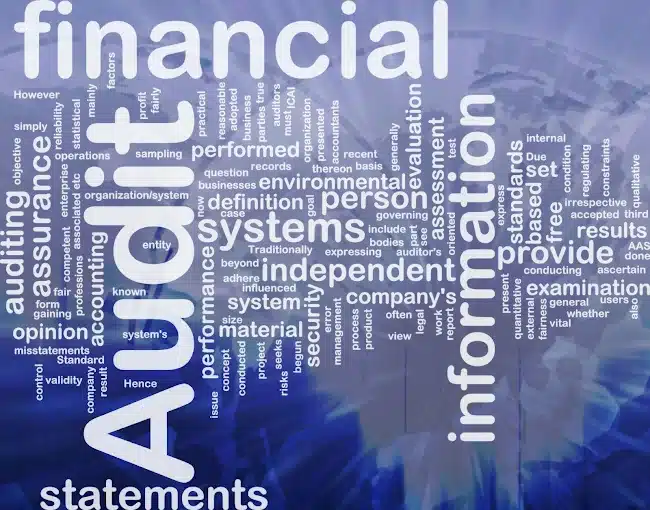 The services Wayne Smith & Associates in Langebaan is offering as an Accounting Services, displaced on a blue background with white letters.