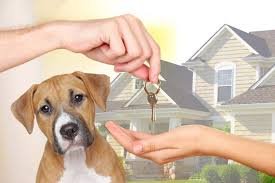 A picture of someone that is handing their house keys to a sitter with a background picture of a dog and a house which to take care off.