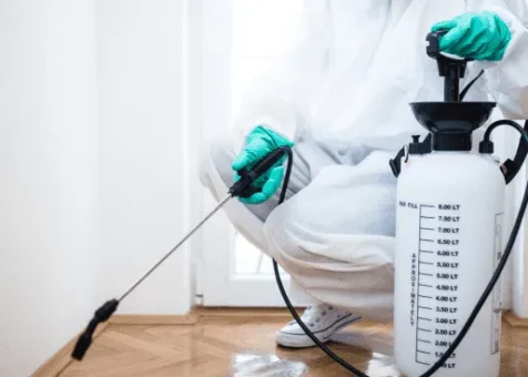 Pest Control Services